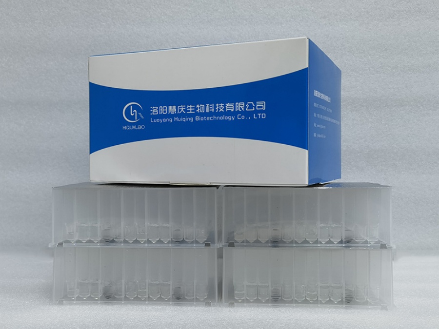真菌核酸提取需要注意什么？